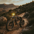 ALTA Series - BAR