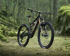 Amflow PL Carbon