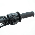 Arctic Leopard XE PRO S